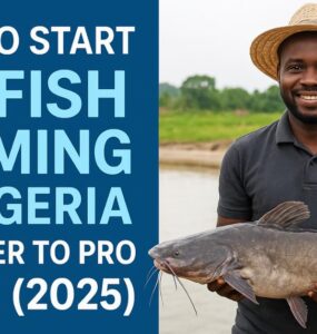 Catfish farming in Nigeria - beginner to pro guide with catfish pond and farmer