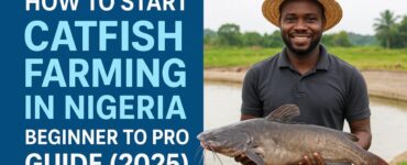 Catfish farming in Nigeria - beginner to pro guide with catfish pond and farmer