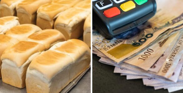 Bakery business profit in Nigeria showing bread production, bakery equipment, and income potential