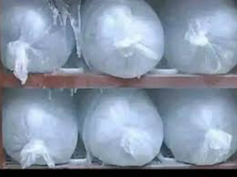 Ice Block Production Business in Nigeria