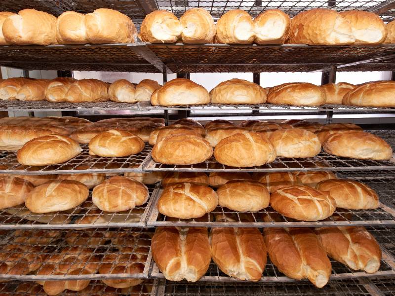 Small Bakery Business Nigeria