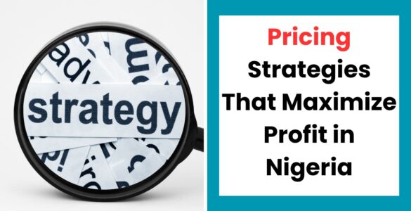 Nigerian entrepreneur analyzing pricing strategies to maximize profit in Nigeria for small business growth