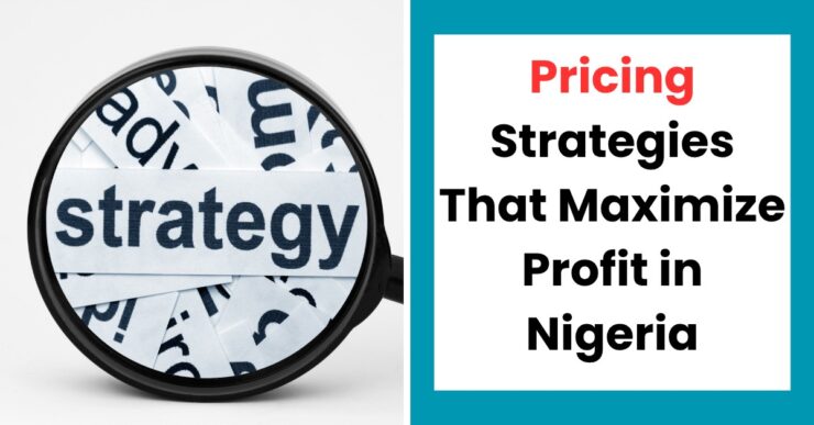 Nigerian entrepreneur analyzing pricing strategies to maximize profit in Nigeria for small business growth