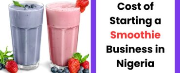 Cost of starting a smoothie business in Nigeria 2026 with fresh fruits, blenders, and smoothie setup