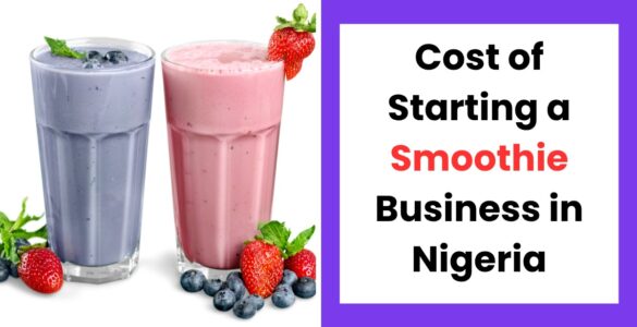 Cost of starting a smoothie business in Nigeria 2026 with fresh fruits, blenders, and smoothie setup
