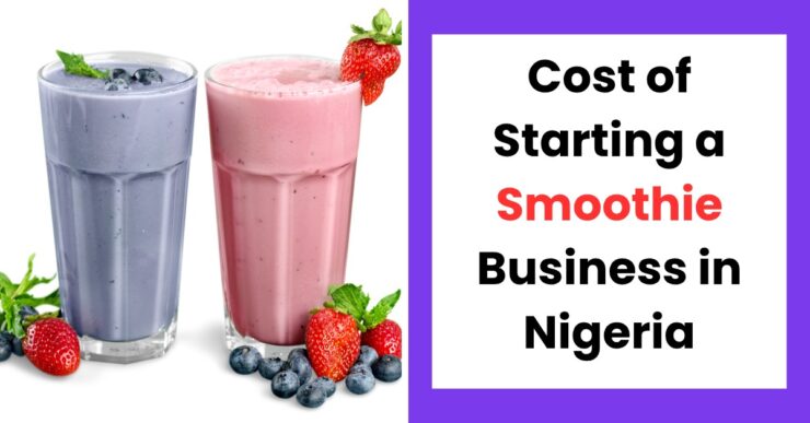 Cost of starting a smoothie business in Nigeria 2026 with fresh fruits, blenders, and smoothie setup