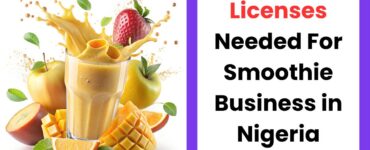 Licenses for smoothie business in Nigeria showing permits and food business setup