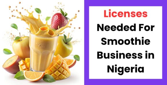 Licenses for smoothie business in Nigeria showing permits and food business setup