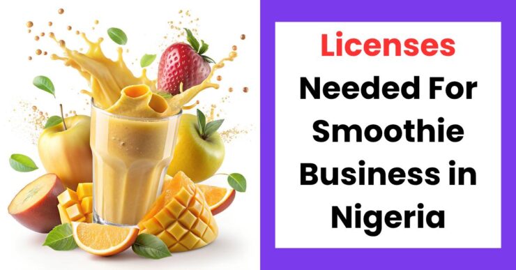 Licenses for smoothie business in Nigeria showing permits and food business setup