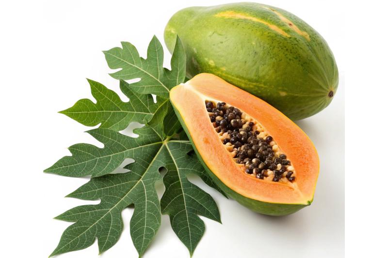 Fresh pawpaw for smoothie business in Nigeria