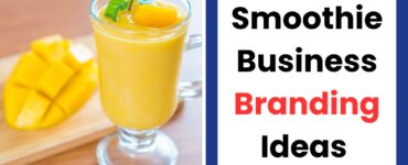 Smoothie business branding ideas in Nigeria showing logo design, packaging and brand name concepts