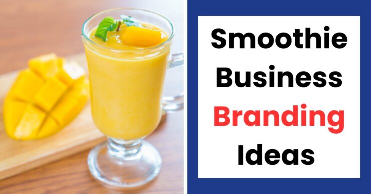 Smoothie business branding ideas in Nigeria showing logo design, packaging and brand name concepts