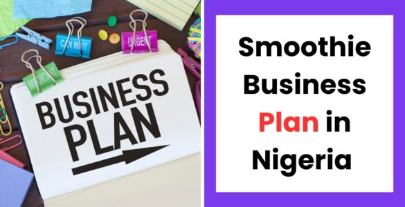 smoothie business plan Nigeria template for starting a profitable juice business