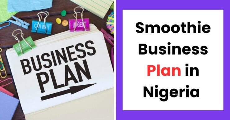 smoothie business plan Nigeria template for starting a profitable juice business