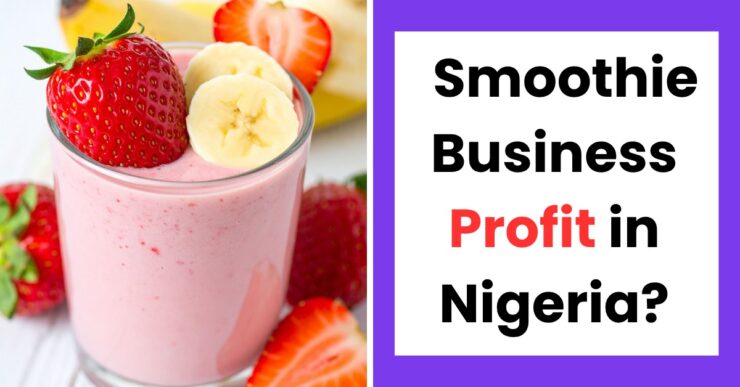 A colorful smoothie in a glass representing smoothie business profit in Nigeria