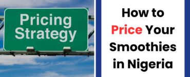 How to price smoothies for maximum profit in Nigeria