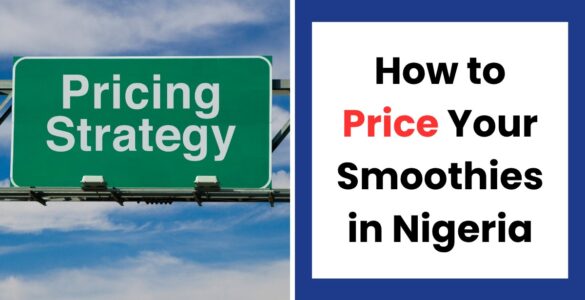 How to price smoothies for maximum profit in Nigeria