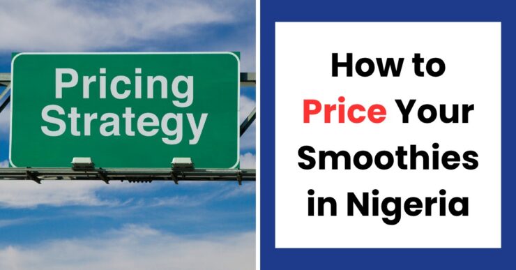 How to price smoothies for maximum profit in Nigeria